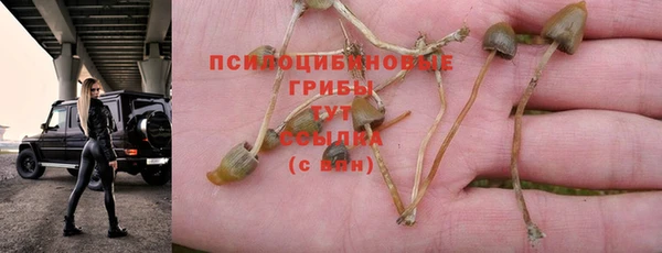 Альфа ПВП Майский
