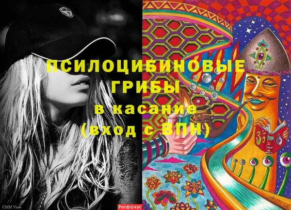 прущие грибы Магас
