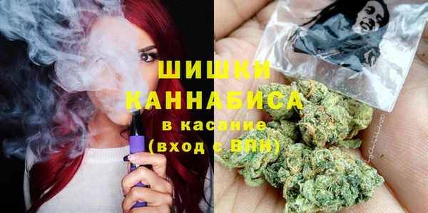прущие грибы Магас