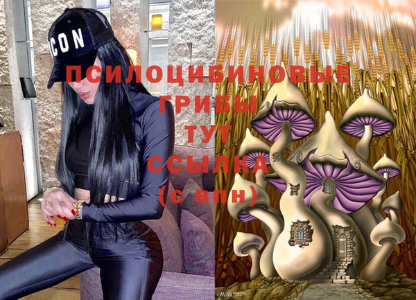 таблы Магадан
