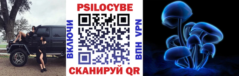 мега зеркало  Галич  Псилоцибиновые грибы GOLDEN TEACHER 